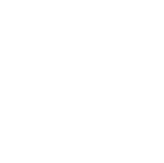 あなたは銀座の古いビルの前で立ち止まり、手元のチケットを確認した。
ビルに入ると時間航空のスタッフが話しかけてくる。「お待ちしておりました！ れから向かうのは1918年秋。旅先で、旅行者だと怪しまれすぎるといけません。皆さまにはこれより当時の流行服に身を包んでいただきます」あなたは衣装に身を包み、時間旅行に出かける。大正時代、そこは世界が自由で煌びやかに広がっていくようにも思え世界が窮屈で無為に滅びていくようにも思えた時代。「………赤紙が届いたんだ」「シベリアにいくということか」そこで出会う人々と、1枚の写真が織りなす物語。
あなたは登場人物の一人となり、物語を紡いでいく。