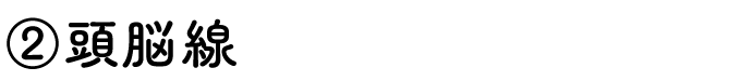②頭脳線
