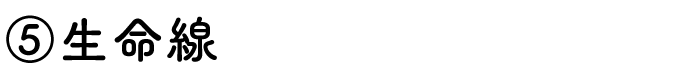⑤生命線