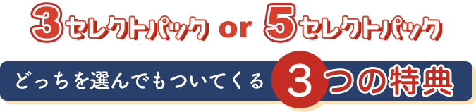 3セレクトパック or 5セレクトパック どっちを選んでもついてくる3つの特典